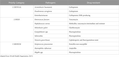 Advances and perspectives for antimicrobial peptide and combinatory therapies